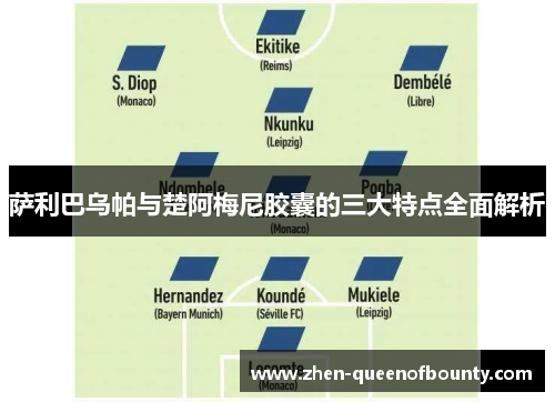 萨利巴乌帕与楚阿梅尼胶囊的三大特点全面解析