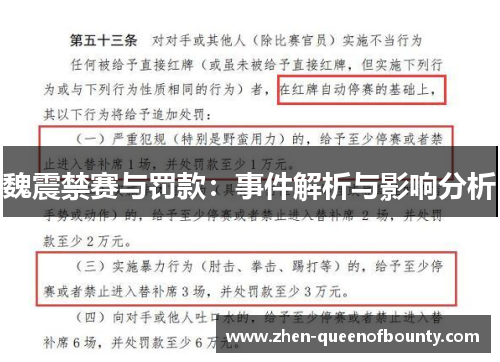 魏震禁赛与罚款：事件解析与影响分析