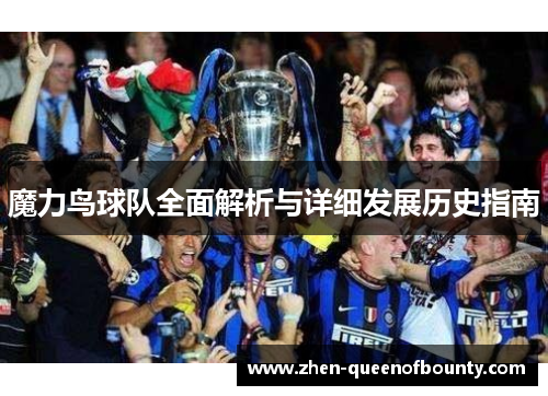 魔力鸟球队全面解析与详细发展历史指南